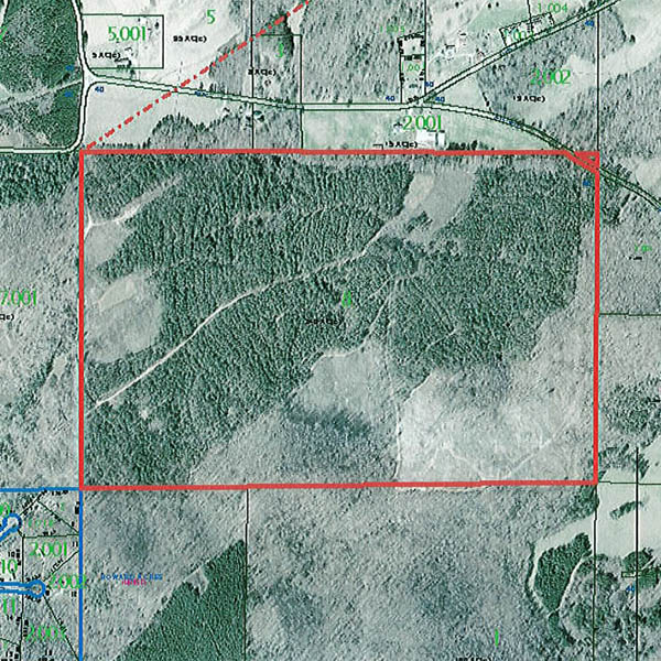 Steed Timber Company, Inc. Located in Lincoln, Alabama Land For Sale
